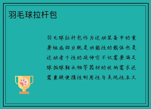 羽毛球拉杆包